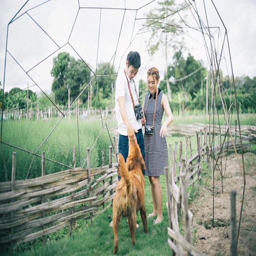 Farmers Homeowners Coverage for League City Texas